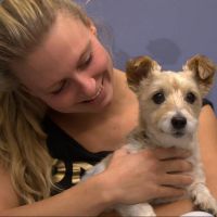 Hondenoppas Doetinchem: Isabella 