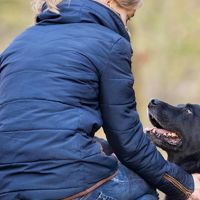 Hondenoppas Zoetermeer: Hondenopvang Zoetermeer 