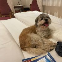 Hondenoppas werk Deventer: baasje van MIlly