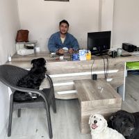 Hondenuitlaatservice Alphen aan den Rijn: Ahmet