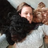 Hondenoppas Raamsdonksveer: Ilona