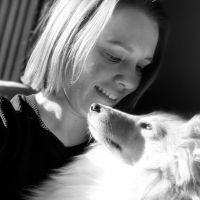 Hondenoppas Alkmaar: Amy