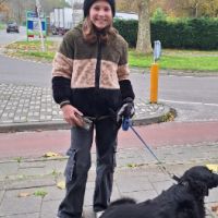 Hondenoppas Bodegraven: Tessa