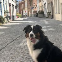 Hondenoppas werk Voerendaal: baasje van Cherry