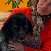 Hondenoppas werk Voorburg: baasje van Sarah