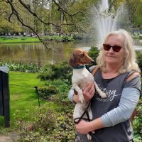 Hondenoppas werk Lisse: baasje van Tommy, Lilly, Jessie, Kaya, Goldie en Kelly