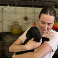 Hondenoppas Rosmalen: Jaimy