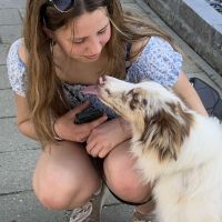 Hondenuitlaatservice Sittard: Cloë