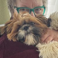 Hondenoppas werk Bellingwolde: baasje van Lucy