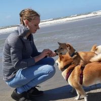 Hondenopvang Dordrecht: Laura