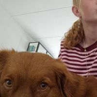 Hondenoppas Veenendaal: Eva
