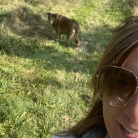 Hondenoppas Waalre: Annelie