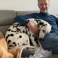 Hondenoppas Utrecht: Herman