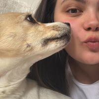 Hondenoppas Vlaardingen: Allison