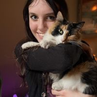 Hondenoppas Waspik: Tirza