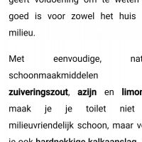 Hondenoppas werk Maasbracht: baasje van DEX