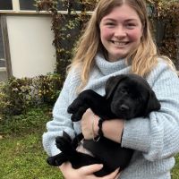 Hondenoppas werk Ede: baasje van Dino