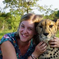 Hondenoppas Enschede: Rachel