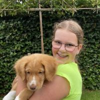 Hondenuitlaatservice Dordrecht: Elise