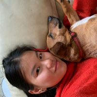 Hondenuitlaatservice Delft: Clarissa