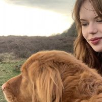 Hondenoppas Utrecht: Meis