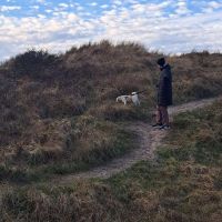 Hondenoppas Katwijk aan Zee: Dana
