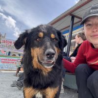 Hondenoppas Rotterdam: Milou