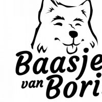 Hondenopvang Garmerwolde: Baasje van Boris