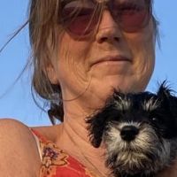 Hondenopvang Ouddorp: Karin 