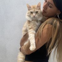 Hondenoppas Venlo: Bo