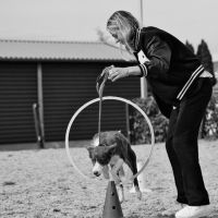 Hondenoppas Leidschendam: Dani