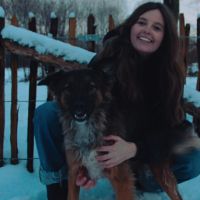 Hondenoppas Gemonde: Mare