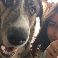 Hondenuitlaatservice Helmond: Kayleigh