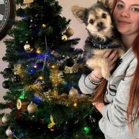 Hondenoppas Etten-Leur: Sharon