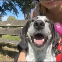 Hondenoppas Utrecht: Esmee