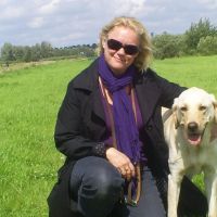 Hondenopvang Alphen aan den Rijn: Irene