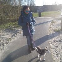 Hondenoppas Groningen: Wendy