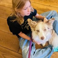 Hondenuitlaatservice Groningen: Mia