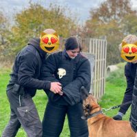 Hondenoppas Nijmegen: Isis 