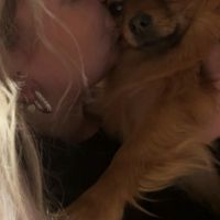 Hondenopvang Waalwijk: Robin