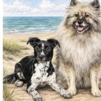 Hondenoppas werk Beilen: baasje van Captain en Layka 