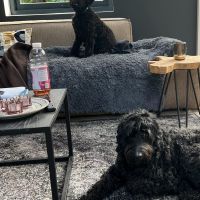 Hondenoppas werk Epe: baasje van Finn en Nina