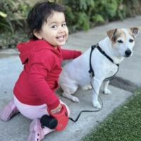 Hondenoppas werk Apeldoorn: baasje van Tuffi