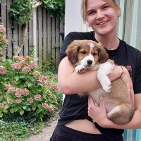 Hondenoppas Nijmegen: Luca