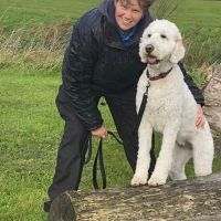 Hondenoppas Heemstede: Jasmijn.