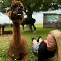 Hondenoppas Almere: Tender