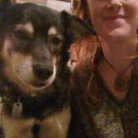 Hondenoppas werk Haarlem: baasje van Anuna