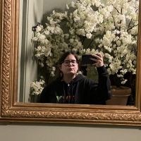 Hondenoppas Goes: Norah