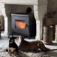 Hondenoppas werk Hoogerheide: baasje van Nice en Lara