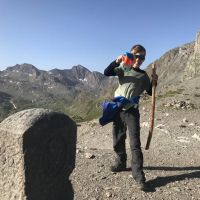 Hondenoppas Leiden: Vos